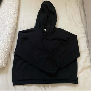 Aritzia Hoodie